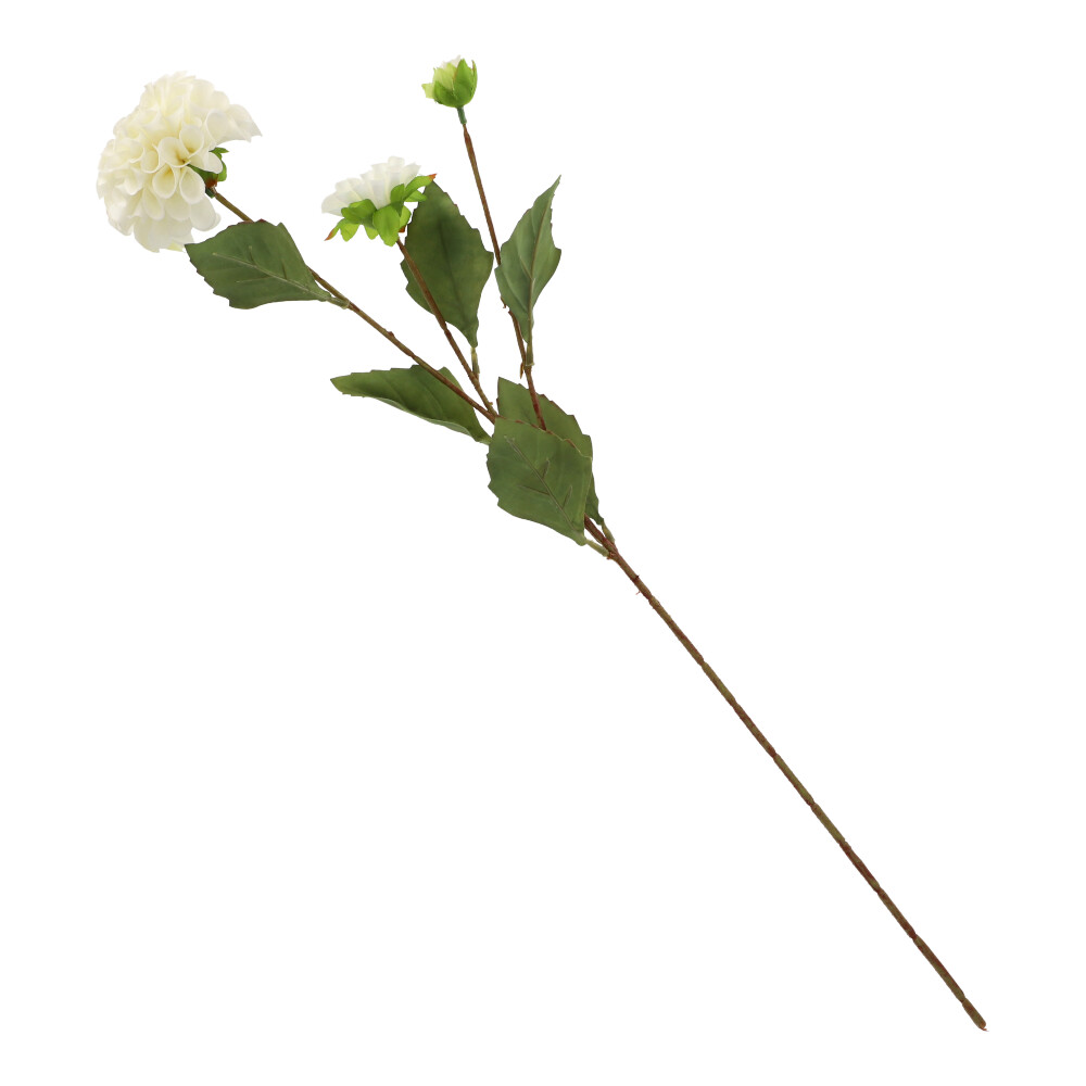 Dahlie creme, ca. 66 - Natur, Höhe: 66 cm