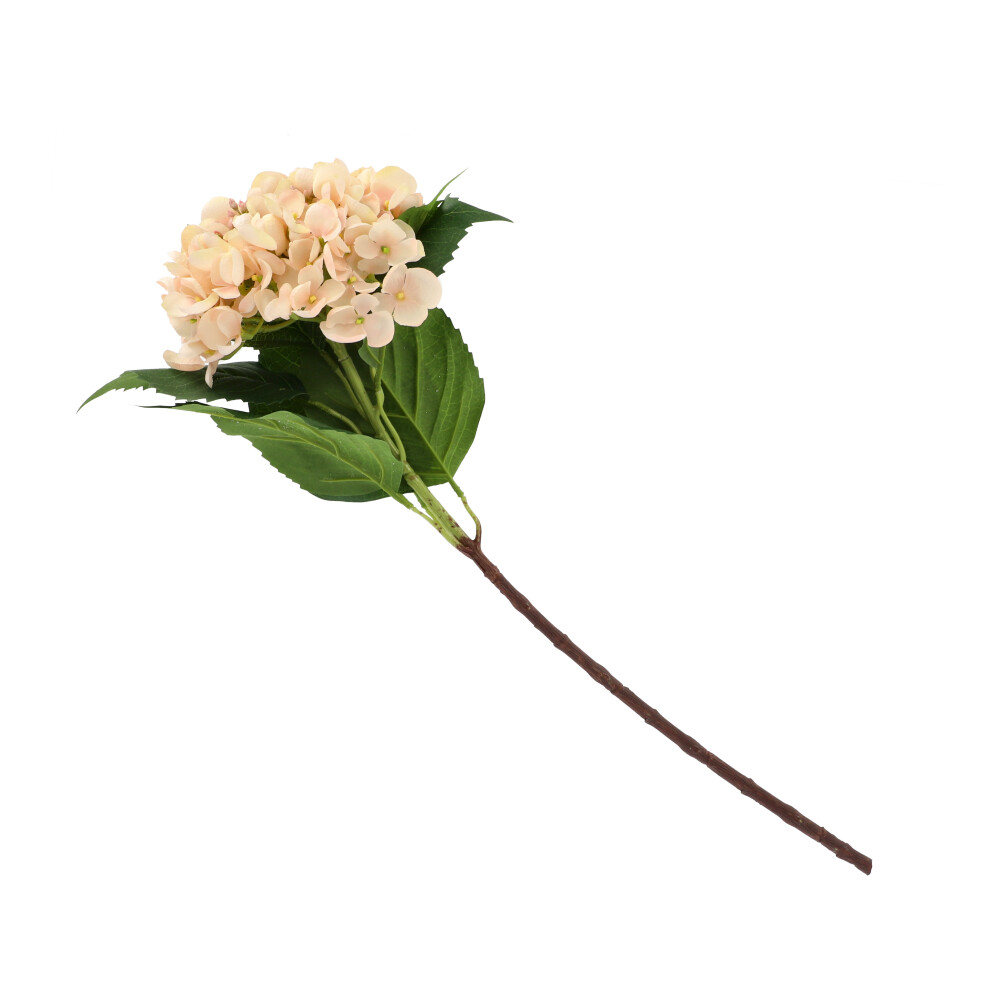 Hortensie, ca. 61 cm