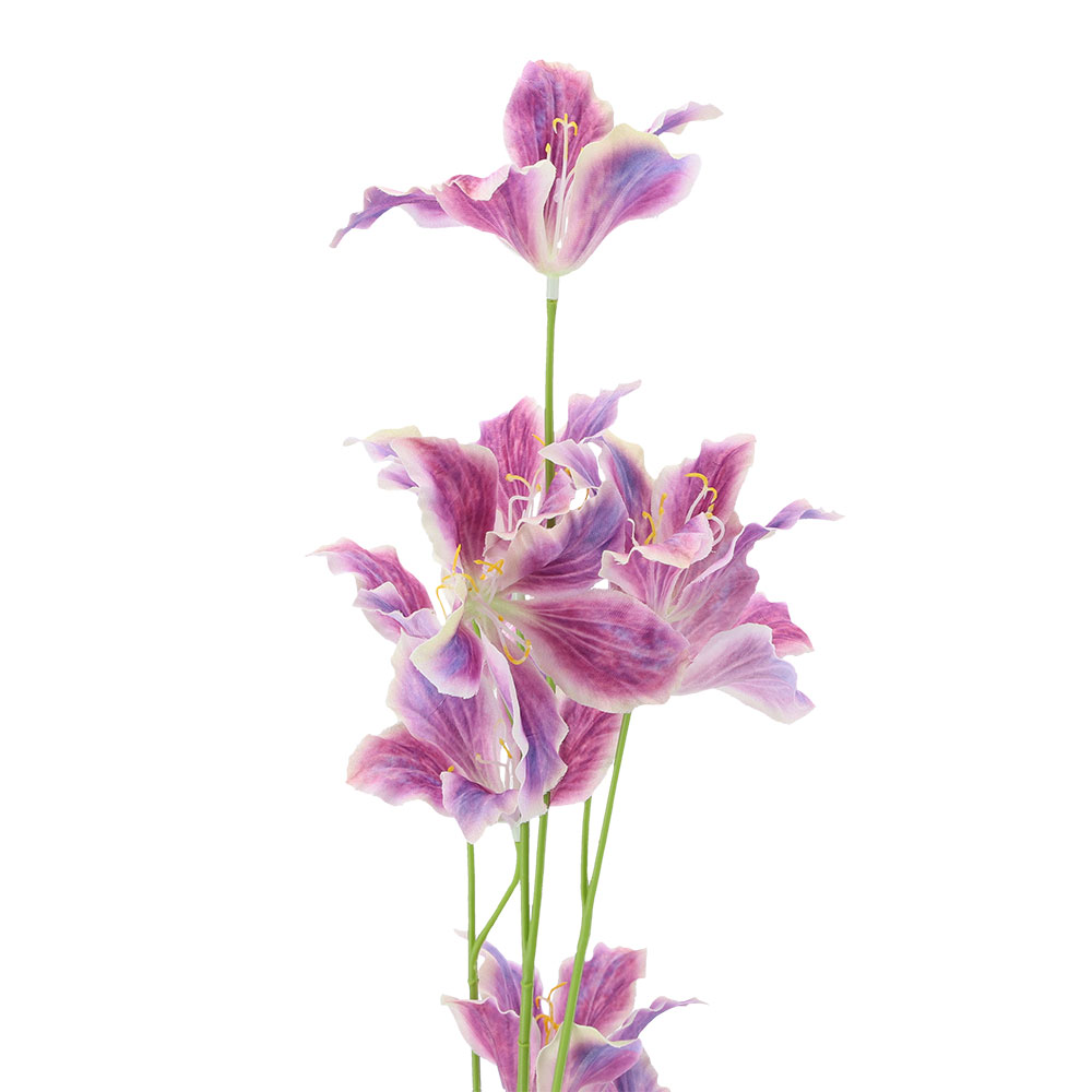 Wild-Lilie, ca. 86 cm - Hell Violett, Höhe: 86 cm