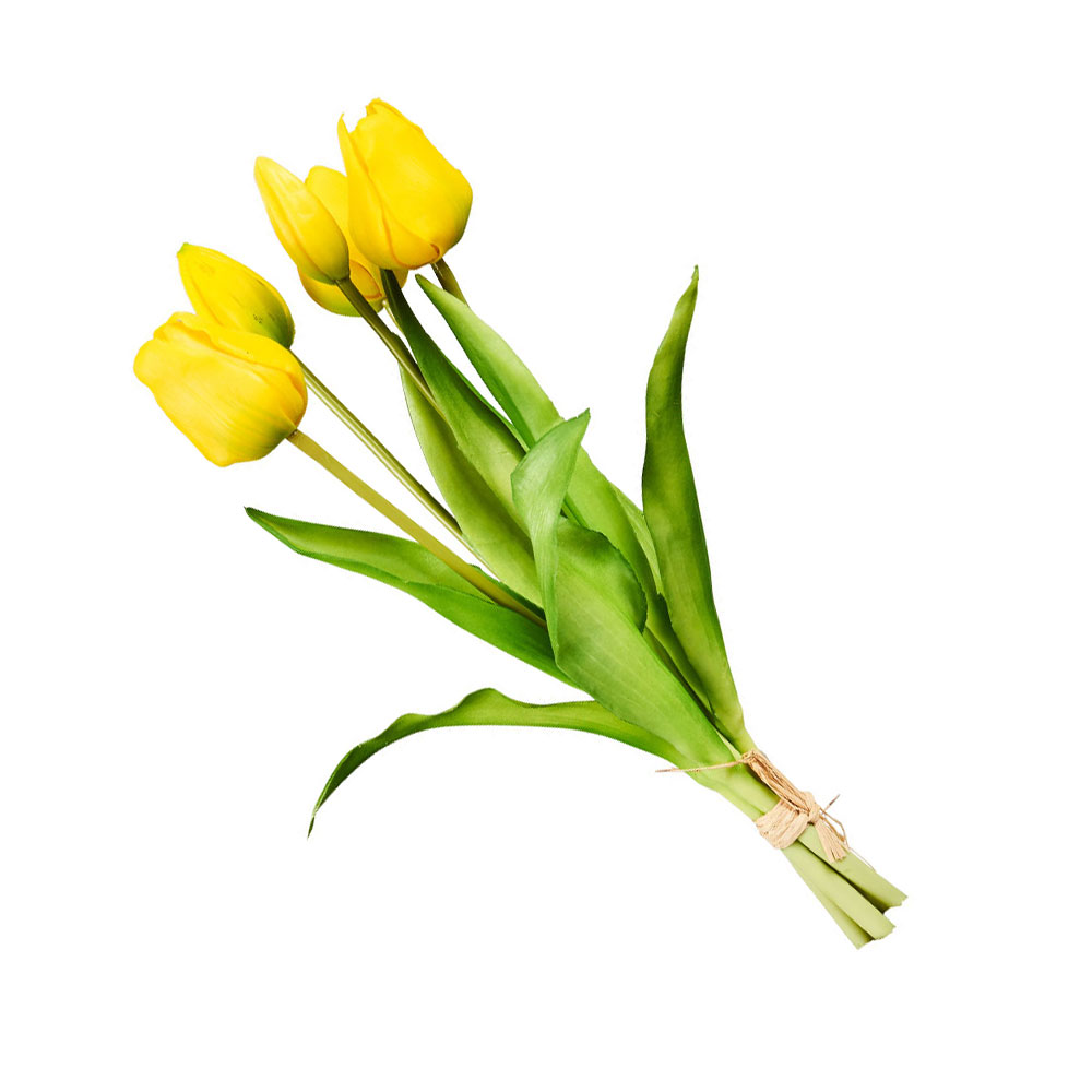 Tulpenbund 5Stk. - Gelb, Höhe: 37 cm