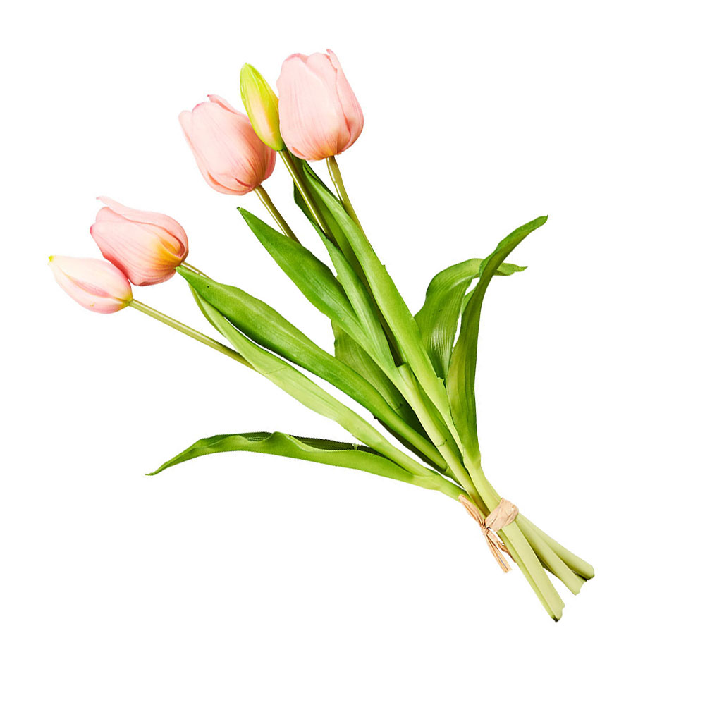 Tulpenbund 5Stk. - Mittel Rose, Höhe: 37 cm
