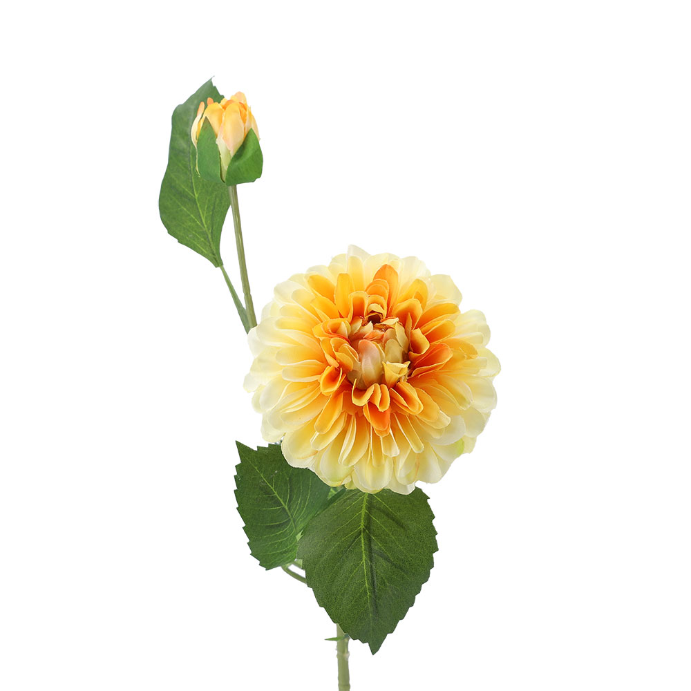 Dahlie gelb, ca. 61 cm - Mittel Gelb, Höhe: 61 cm