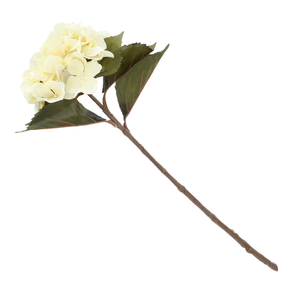 Hortensie natur, ca. 54 cm