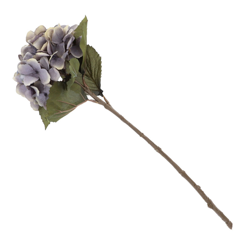 Hortensie natur, ca. 54 cm