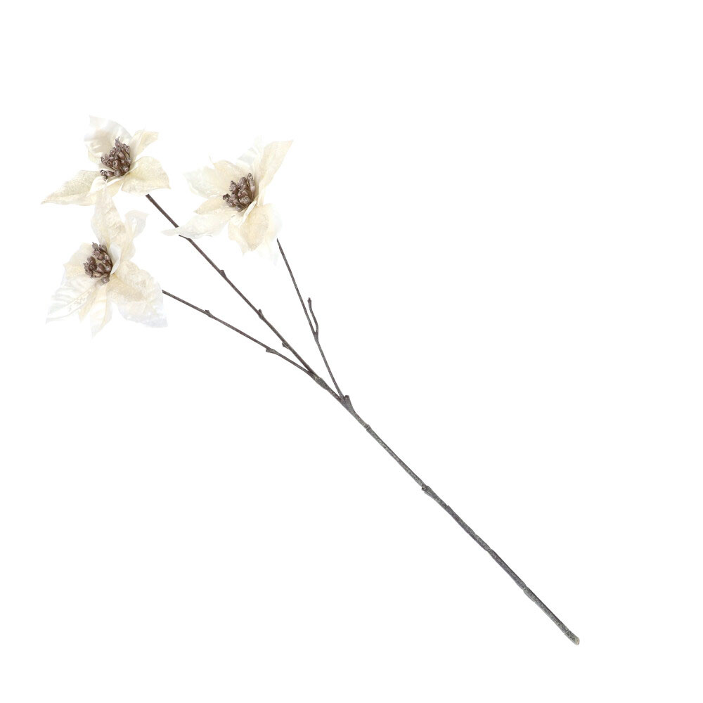 Weihnachtsstern 3er - Sand, Höhe: 61 cm