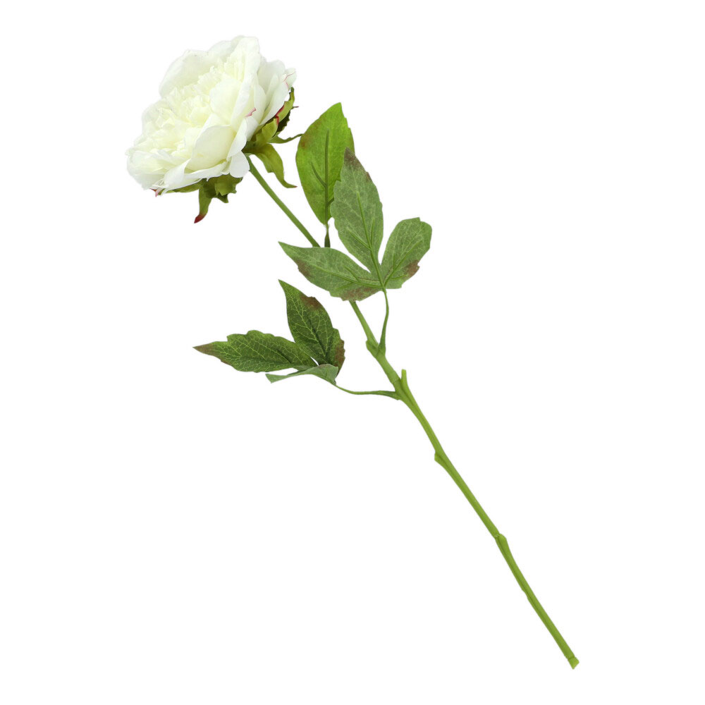 Pfingstrose, ca. 45 cm - Perlweiss, Höhe: 45 cm